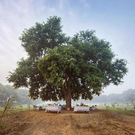 Mela Kothi - The Chambal Safari Lodge Bāh Exteriér fotografie