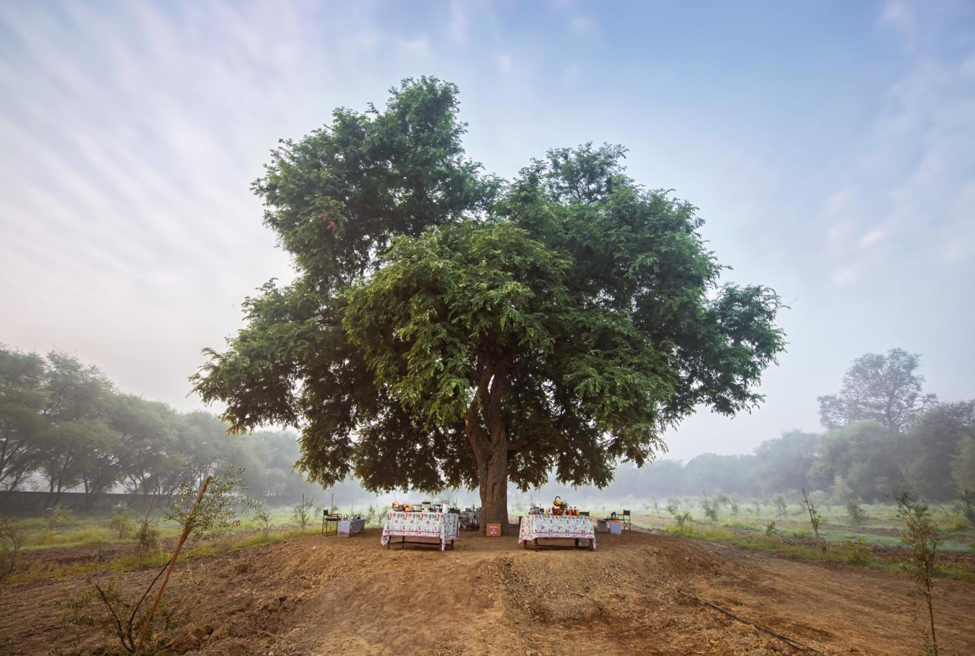 Mela Kothi - The Chambal Safari Lodge Bāh Exteriér fotografie